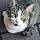 Milou