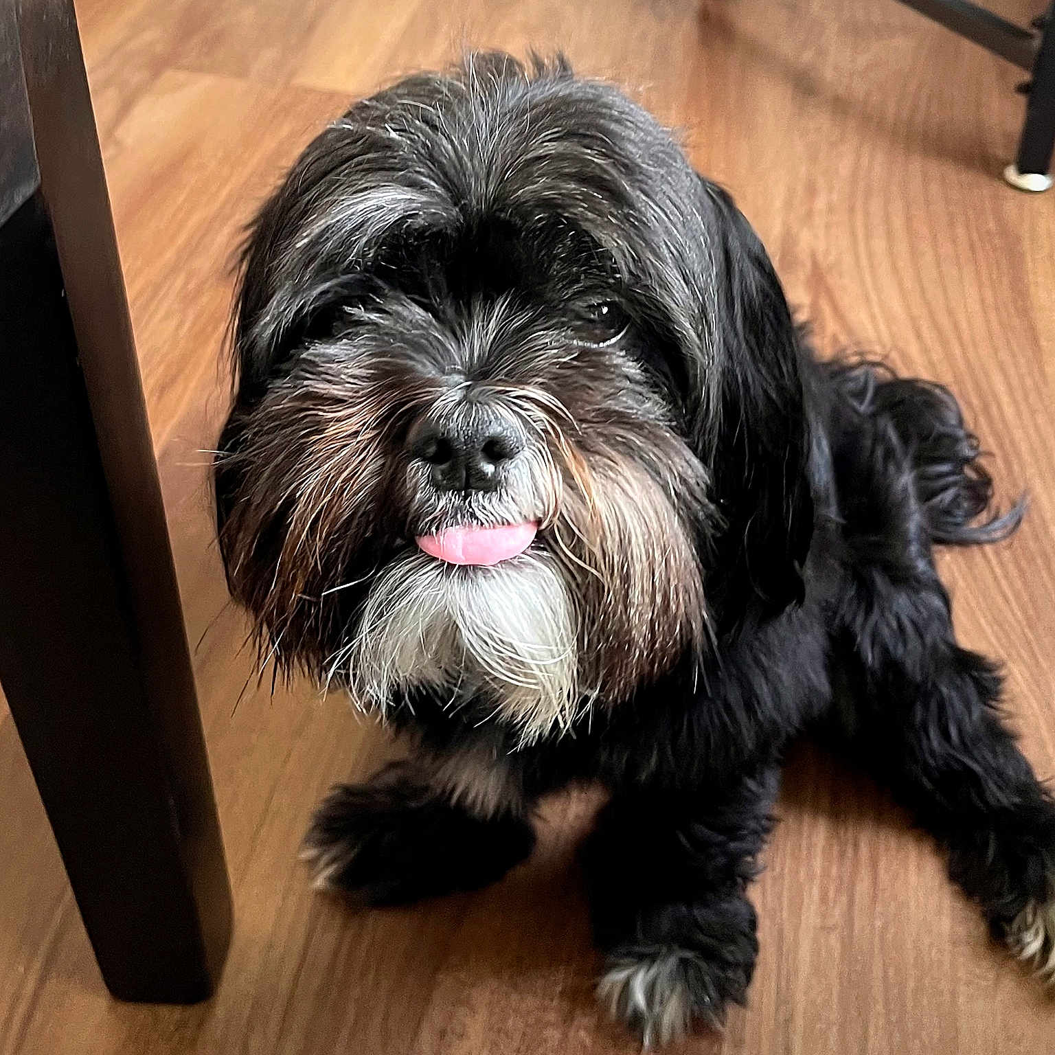 Frank