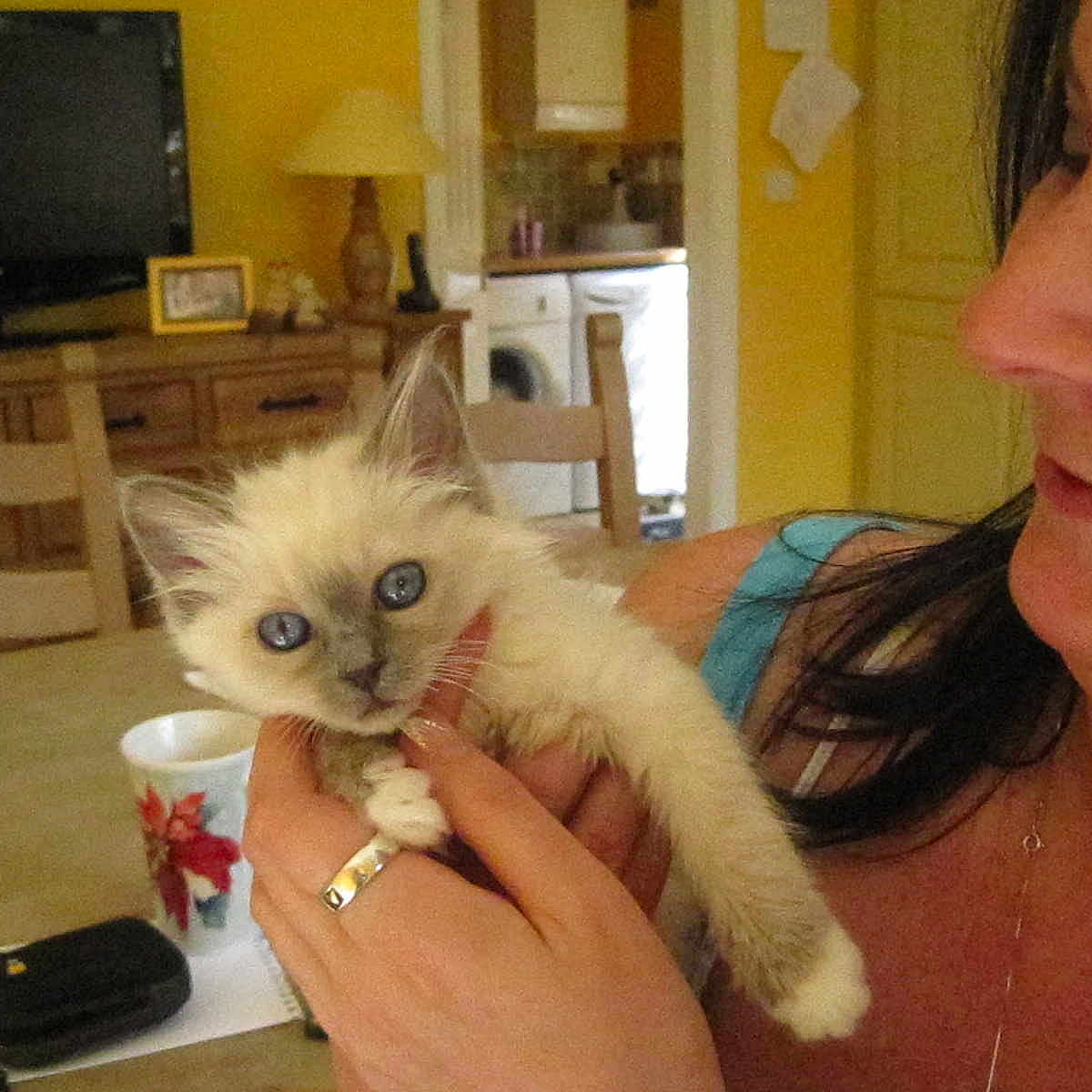 Mia joined the competition — help win amazing prizes!