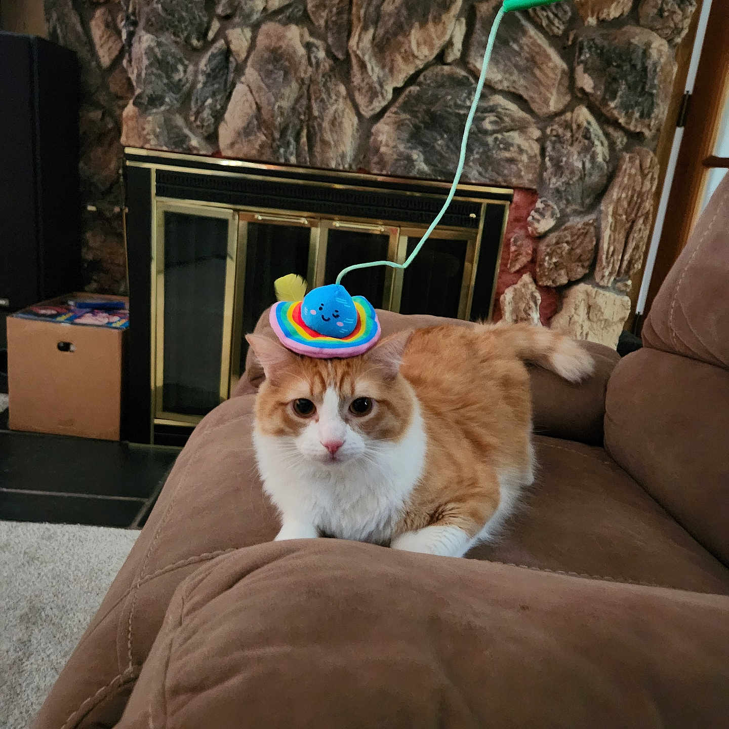Litten