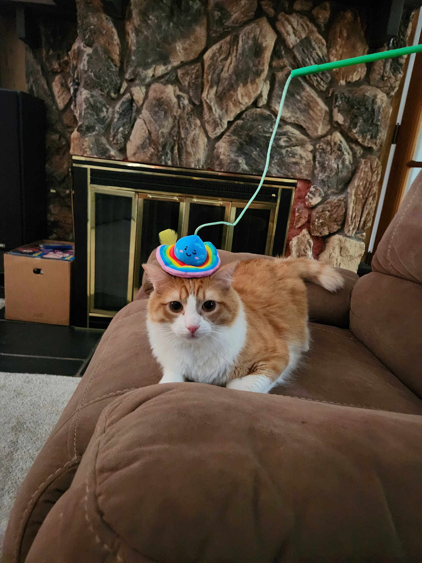 Litten