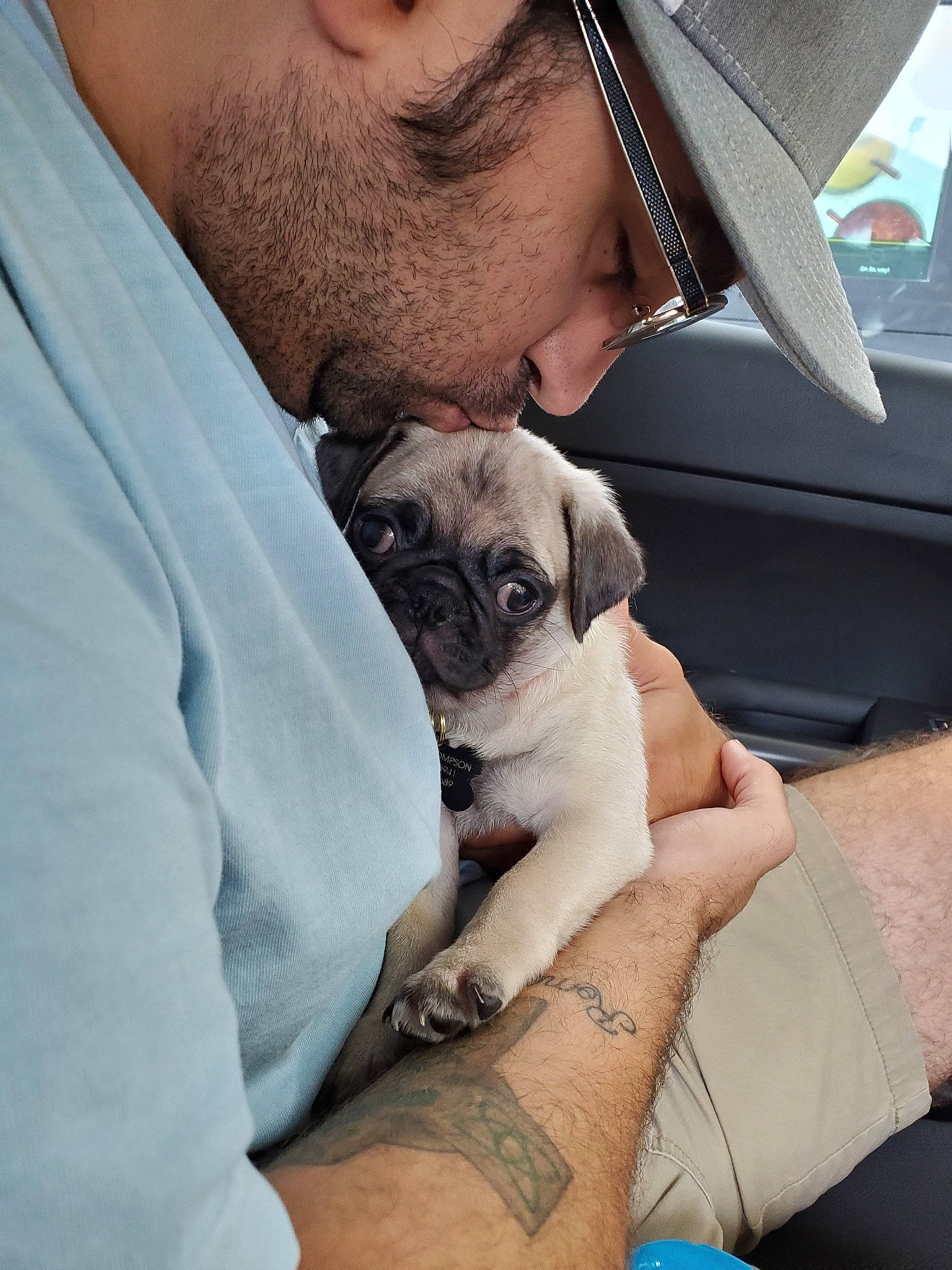 Flora is registered to the contest to win money with this photo: arm, canidae, carnivore, companion_dog, dog, dog_breed, fawn, pug, puggle, puppy, puppy_love, skin, snout, toy_dog, wrinkle