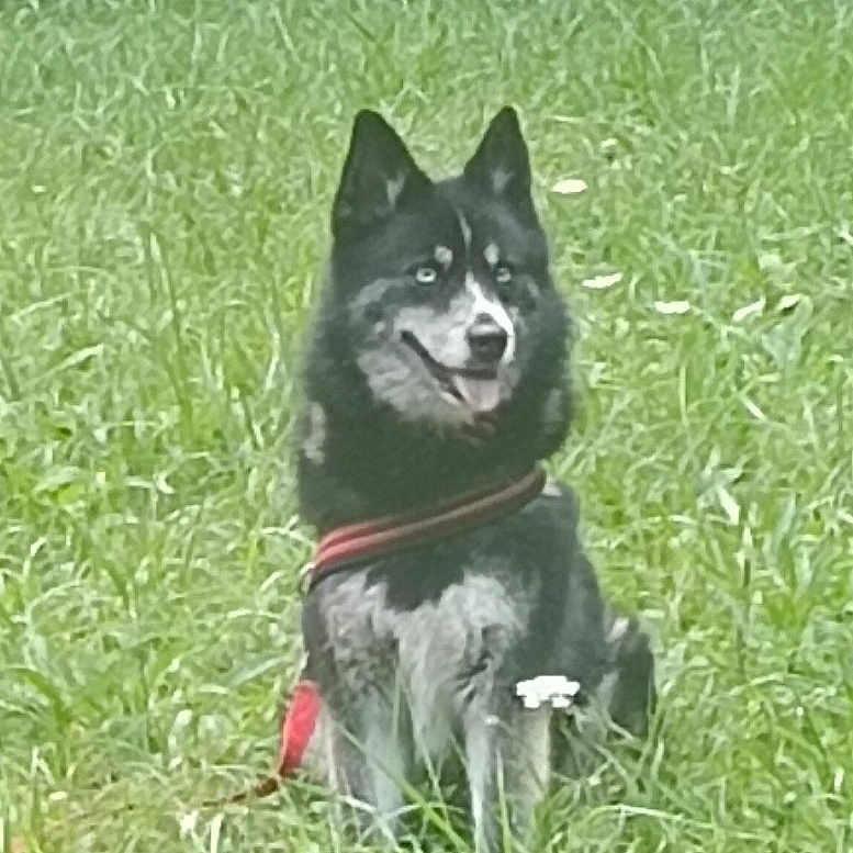 Xena