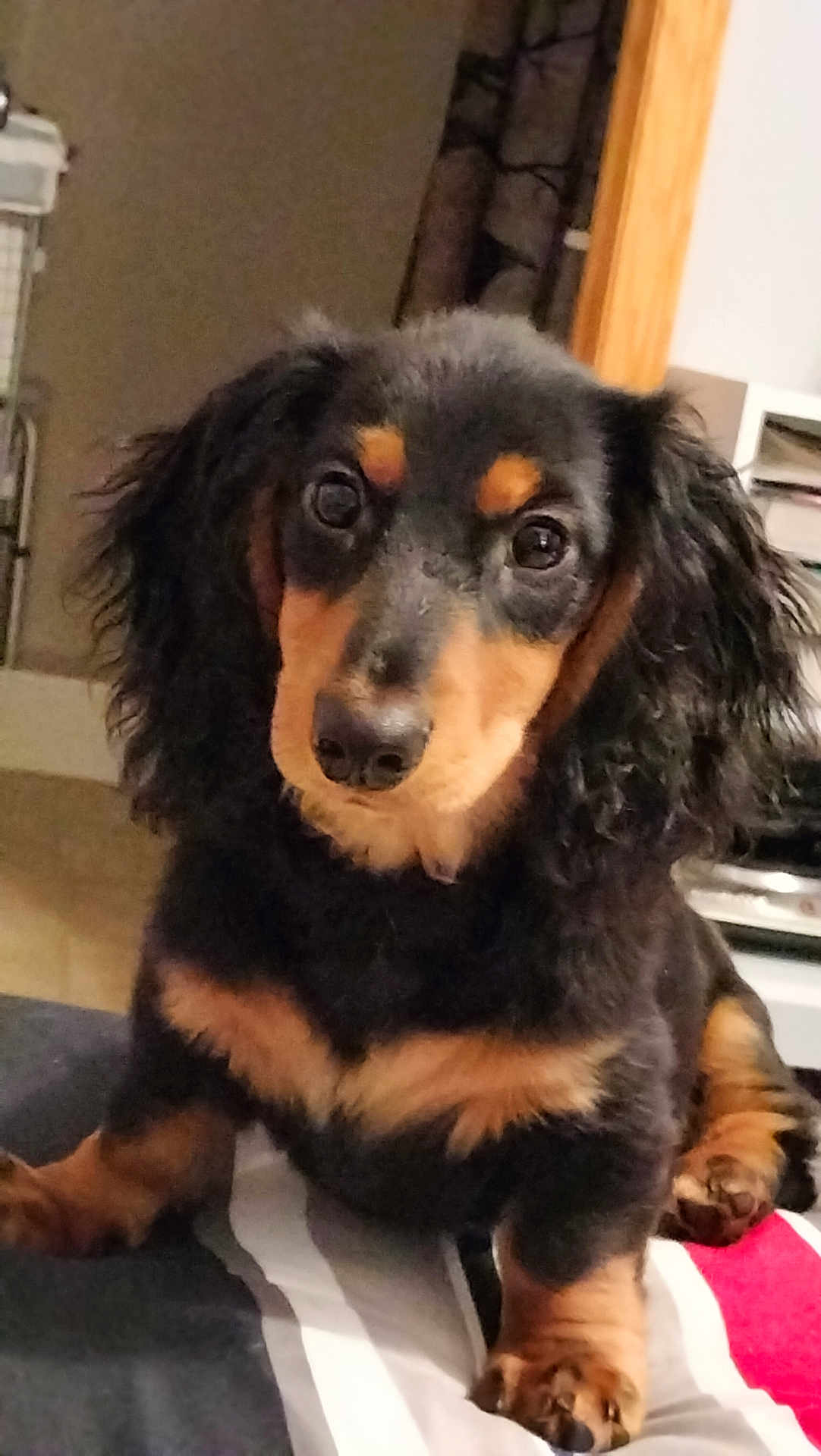Riley