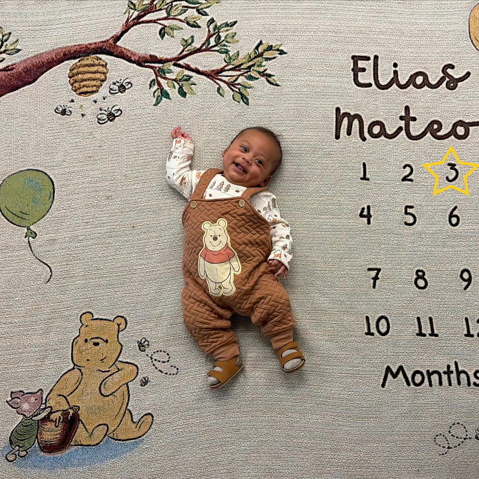 Elias is registered to the contest to win money with this photo: baby, smiling, infant, milestone_blanket, winnie_the_pooh, cartoon, tree, balloon, bee, honeycomb, clothing, cute, happy, person, portrait, laying_down, playful, child, months, illustration