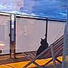 Jazz participe au concours pour gagner de l'argent avec cette photo : black_cat, cat, deck_chair, balcony, string_lights, twilight, cloudy_sky, reflection, glass_door, outdoor, evening, animal, pet, wooden_chair, striped_fabric, quiet, relaxing, urban, home, feline