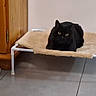black_cat, cat, pet_bed, indoor, floor, wooden_cabinet, toy, ball, tile_floor, feline, animal, pet, resting, looking, cozy, curious, domestic, single_animal, fur, eyes