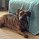 Gertie