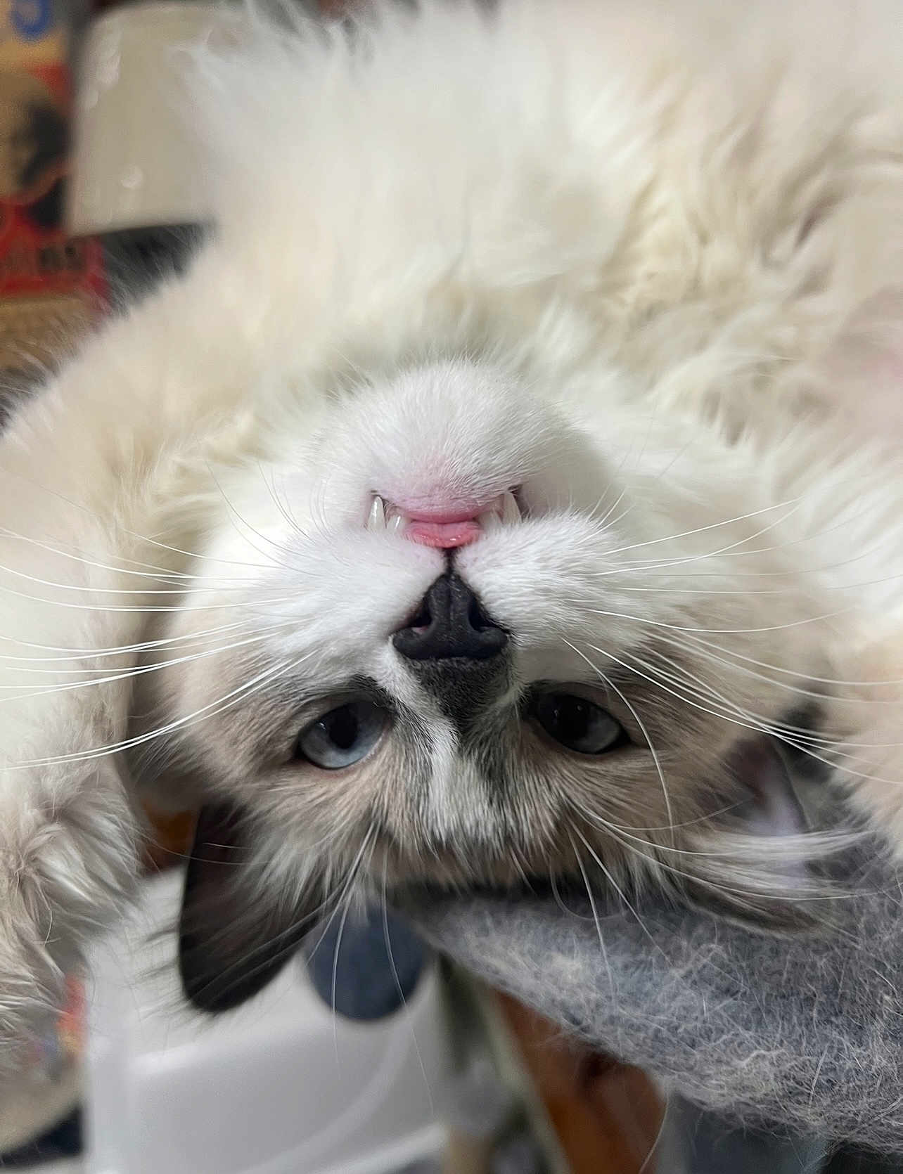 Smokey