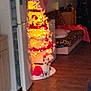 dog, christmas_tree, holiday, lights, santa_hat, refrigerator, living_room, floor, decorations, couch, blanket, wood_floor, furniture, home, pet, festive, indoor, small_dog, christmas, celebration