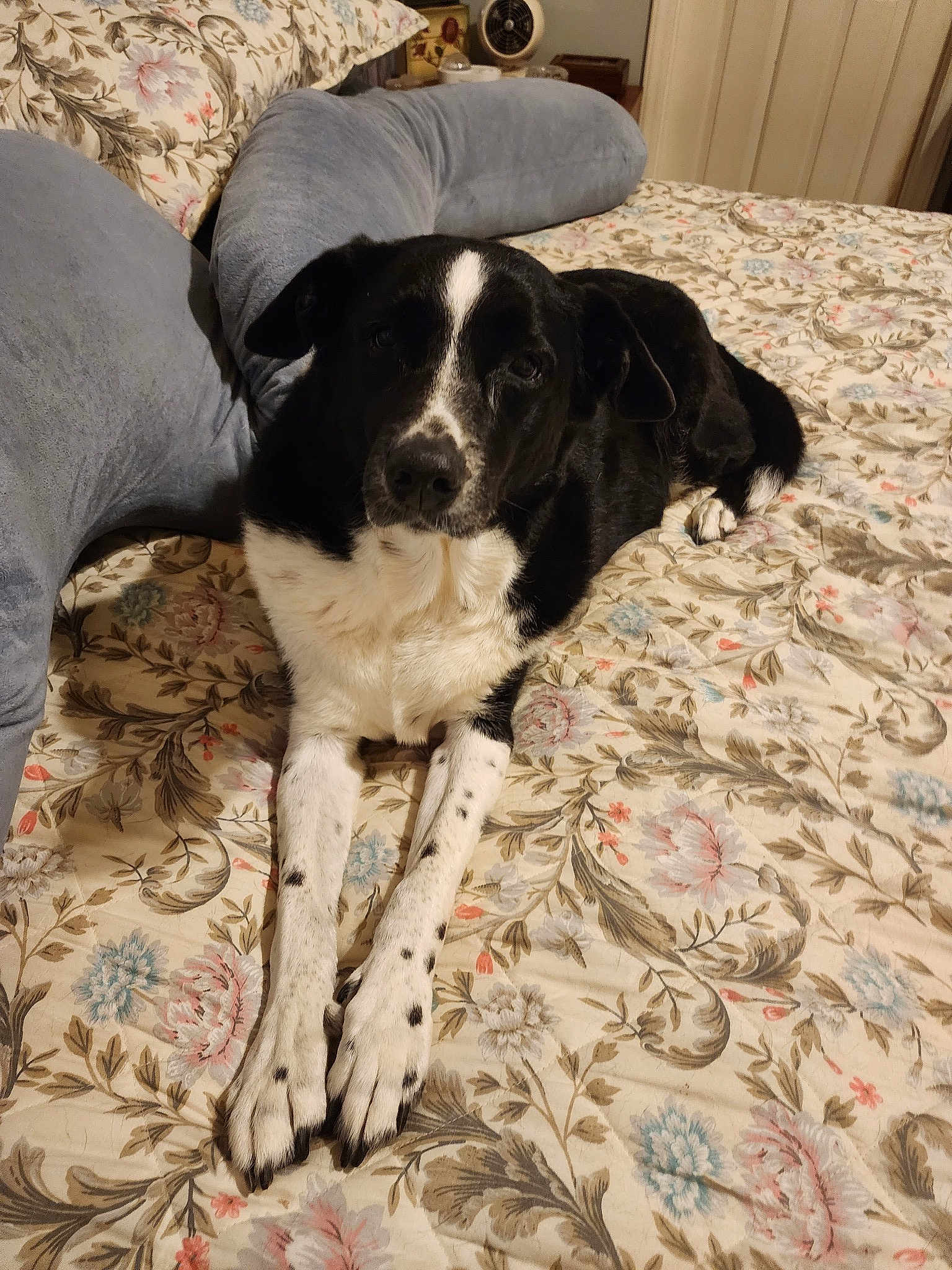 Tula
