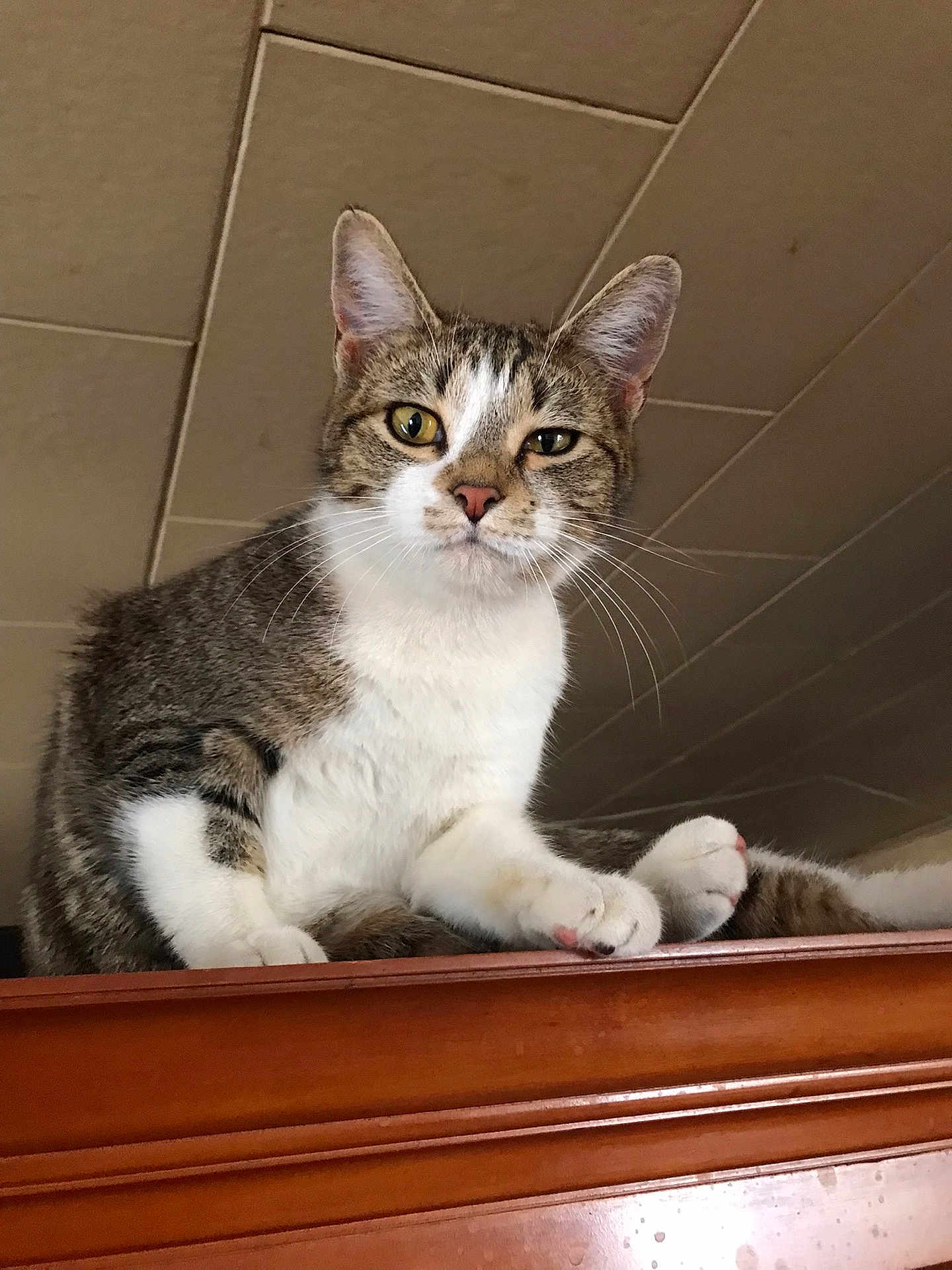 Jax