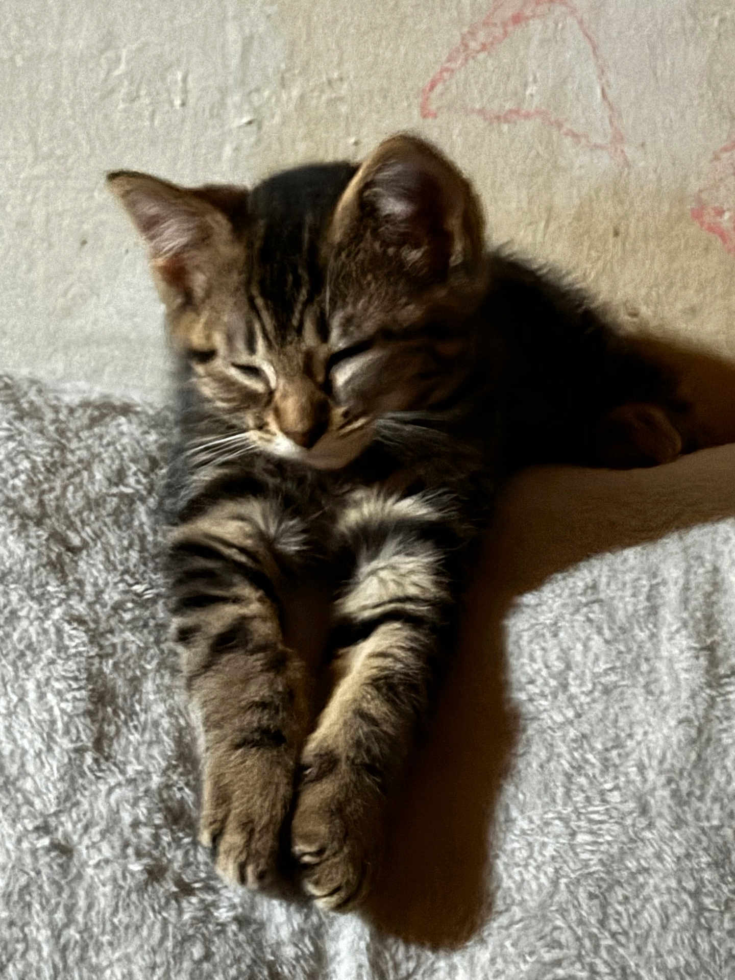 Dax