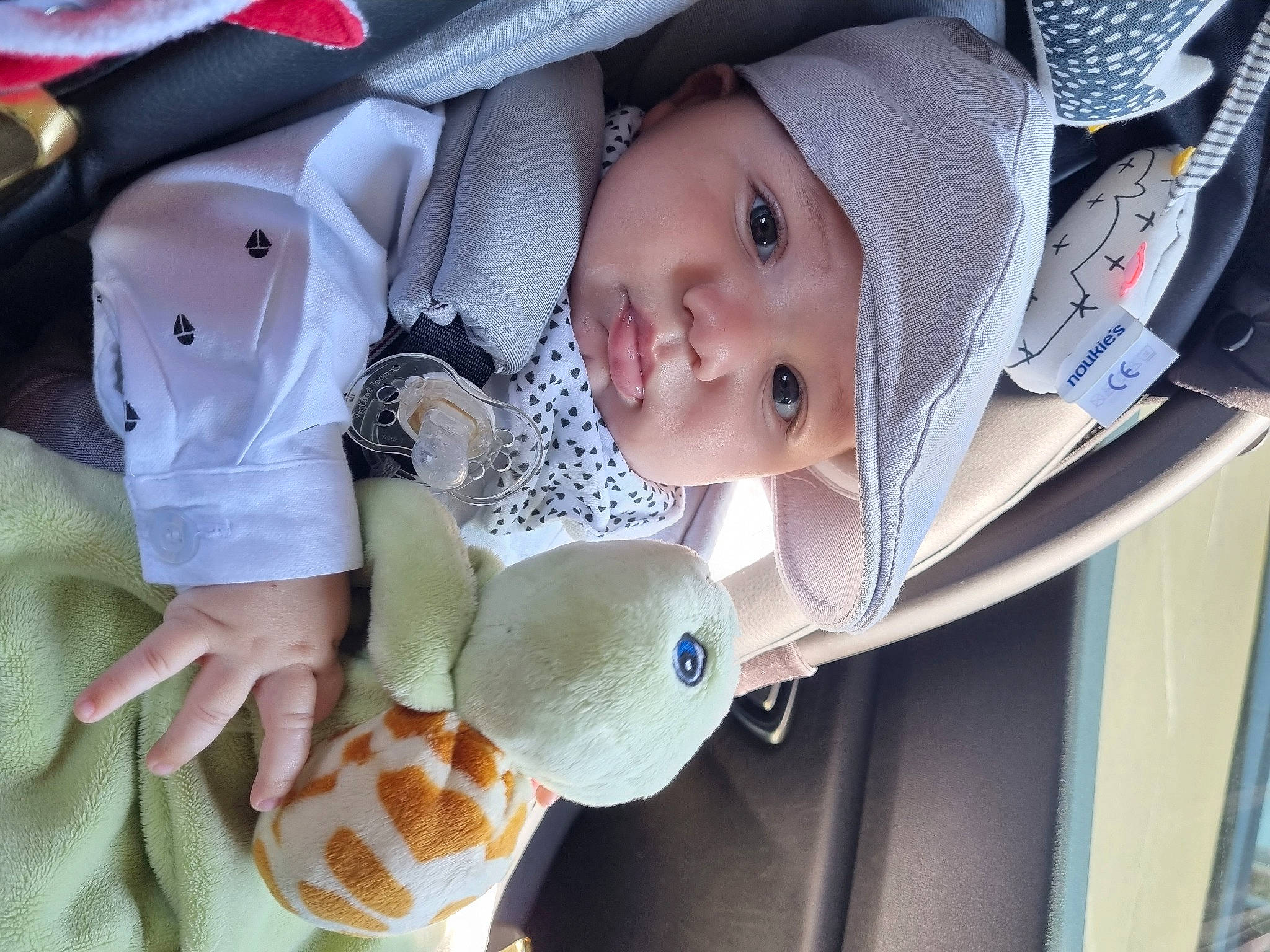 Lyvio a rejoint le concours — aidez-le/la à gagner de superbes lots ! baby, baby_carriage, baby_products, baby_safety, baby_toddler_clothing, cheek, child, comfort, fashion_accessory, fun, hat, headgear, headwear, leaf, linens, outerwear, person, photography, skin, toddler