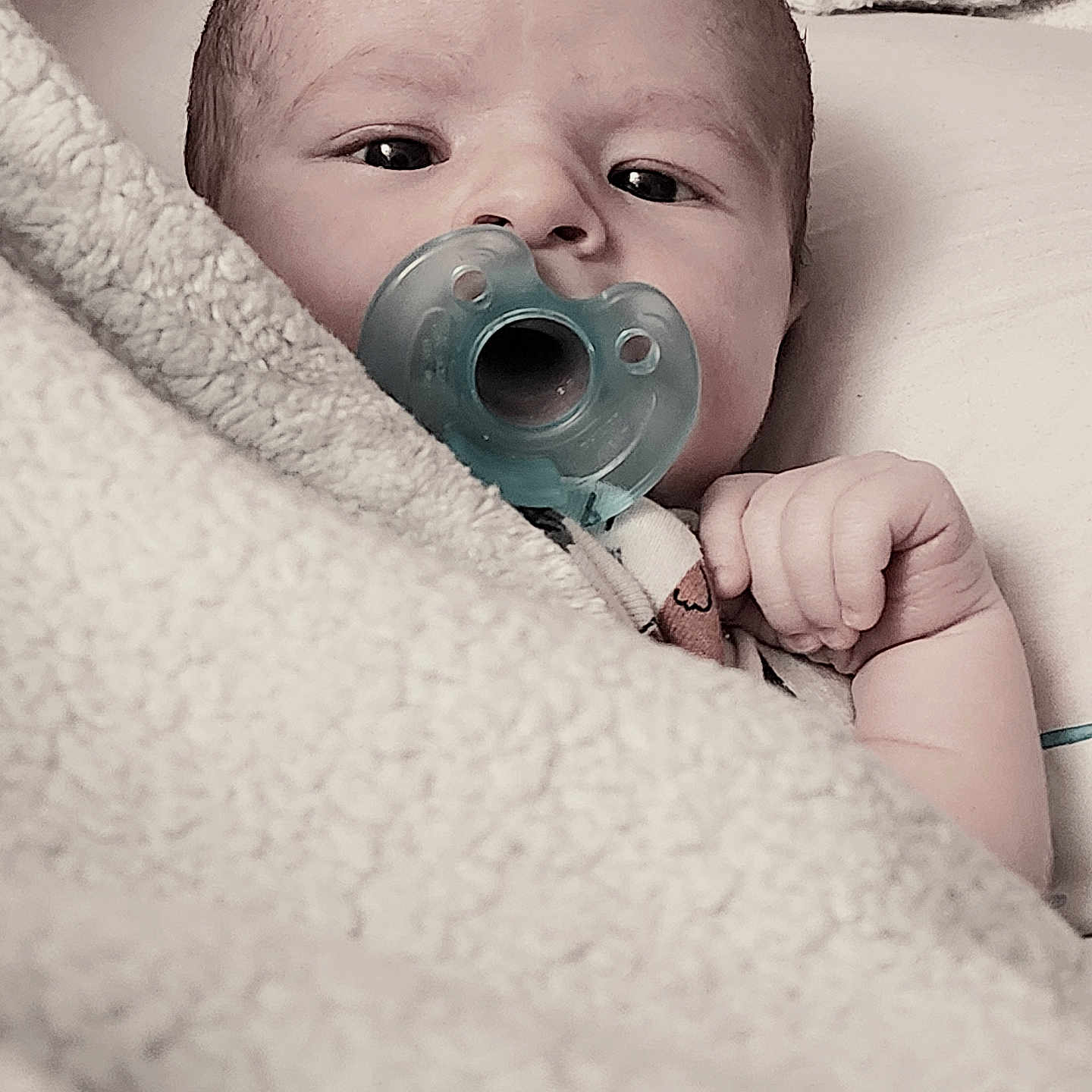 Grayson is registered to the contest to win money with this photo: baby, bed, blanket, bodypart, couch, face, finger, furniture, gun, hand, head, newborn, person, photography, portrait, quilt, towel, weapon