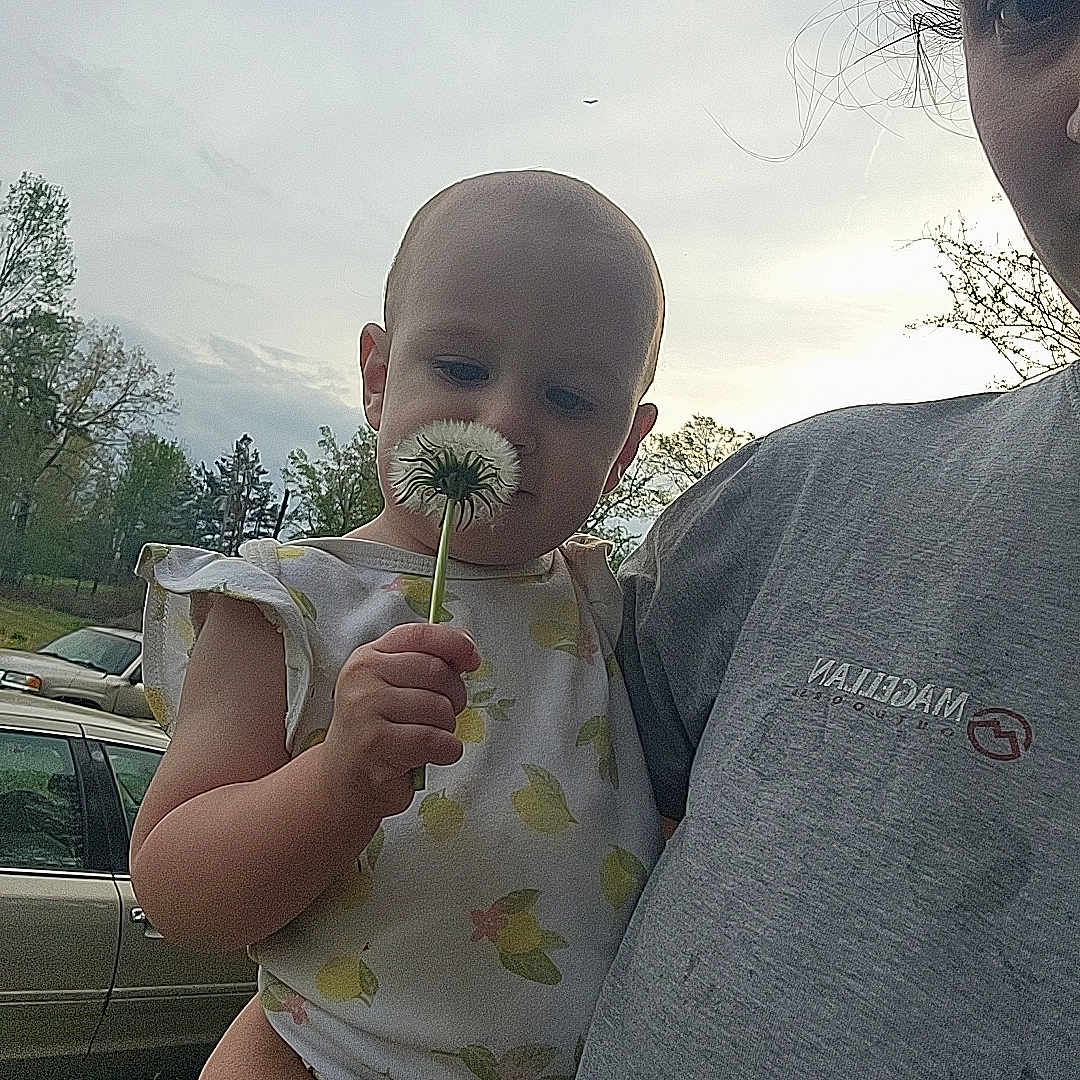 Violet is registered to the contest to win money with this photo: toddler, child, adult, flower, dandelion, outdoor, nature, trees, car, sky, cloudy, person, holding, curious, greenery, shirt, short_sleeves, daylight, portrait, closeup