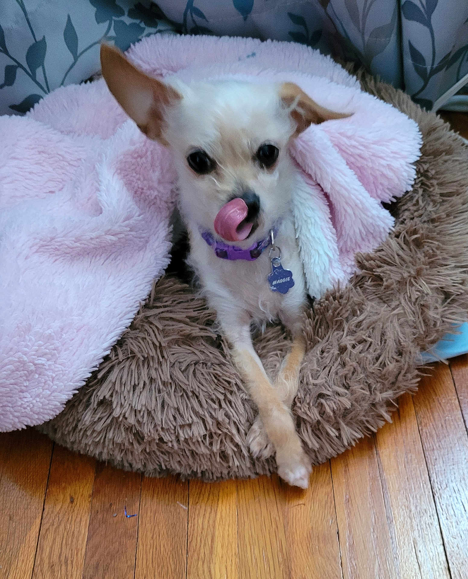 Maggie
