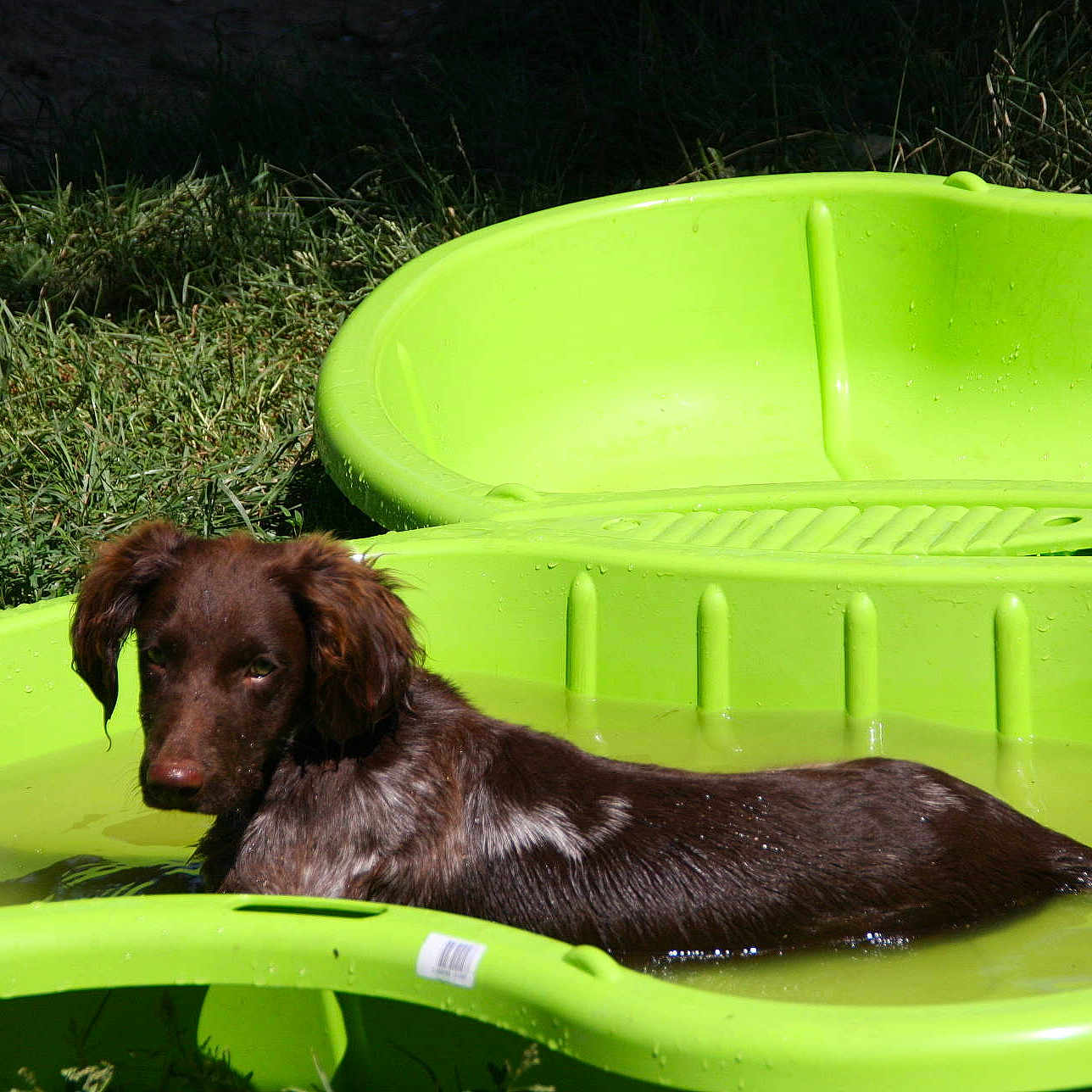 Iron Man Des Jardins De Grenad