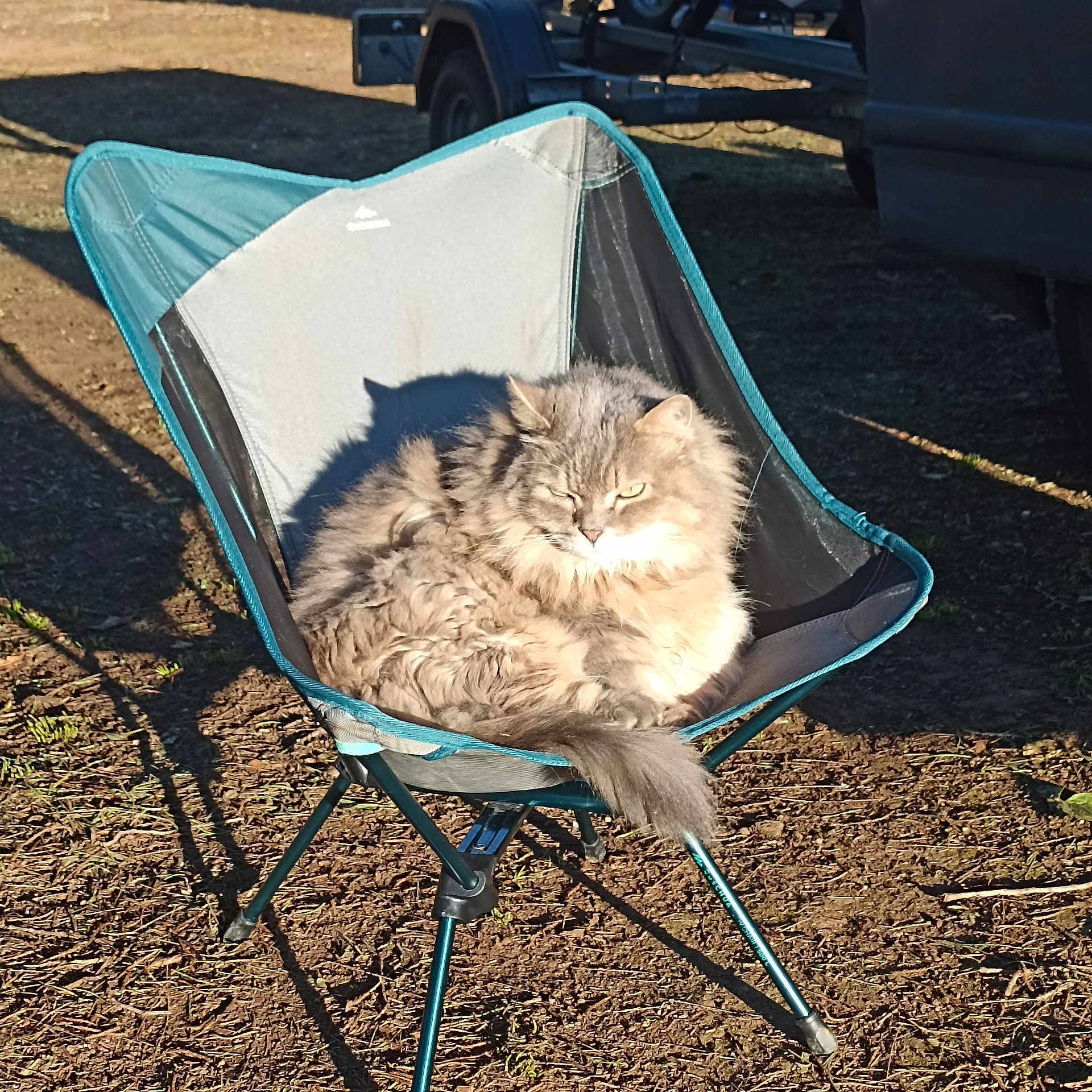 Cool