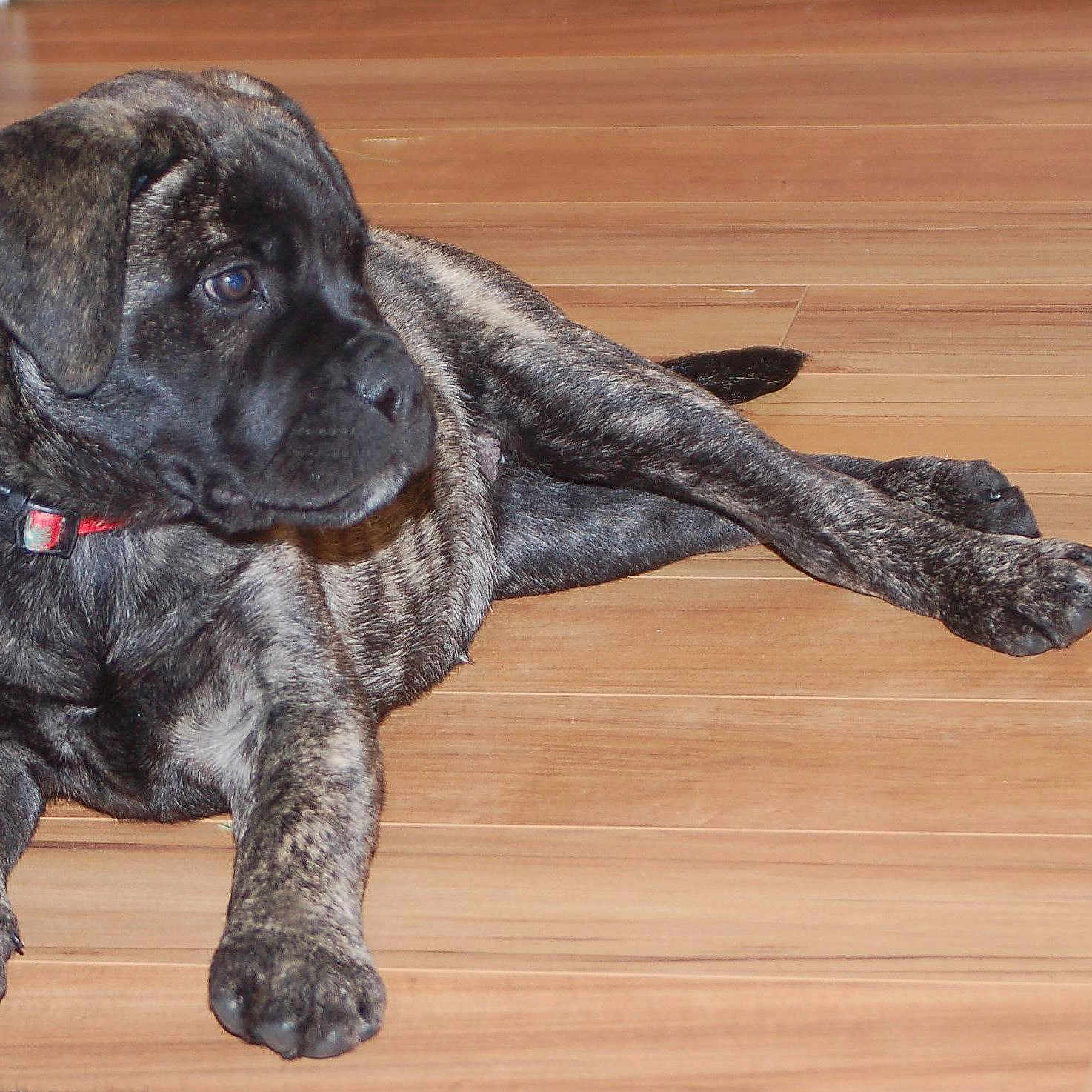 Zuri is registered to the contest to win money with this photo: