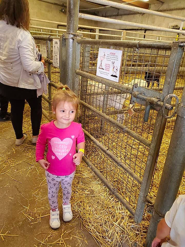 Imola a rejoint le concours — aidez-le/la à gagner de superbes lots ! animal_shelter, cage, child, fun, fur, happy, hay, joy, leisure, livestock, magenta, people_in_nature, person, play, product, straw, toddler, walking, yellow