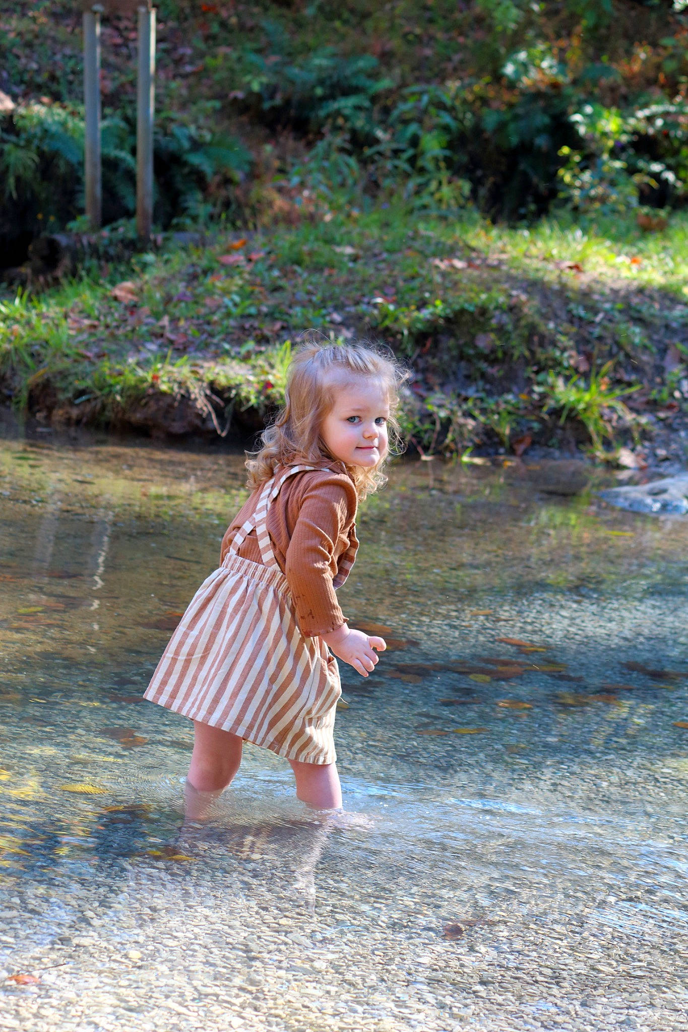 Mara is registered to the contest to win money with this photo: bank, beauty, dress, eye, fawn, forest, grass, hair, hand, human_body, joy, leisure, people_in_nature, person, plant, sunlight, terrestrial_plant, toddler, tree, wood