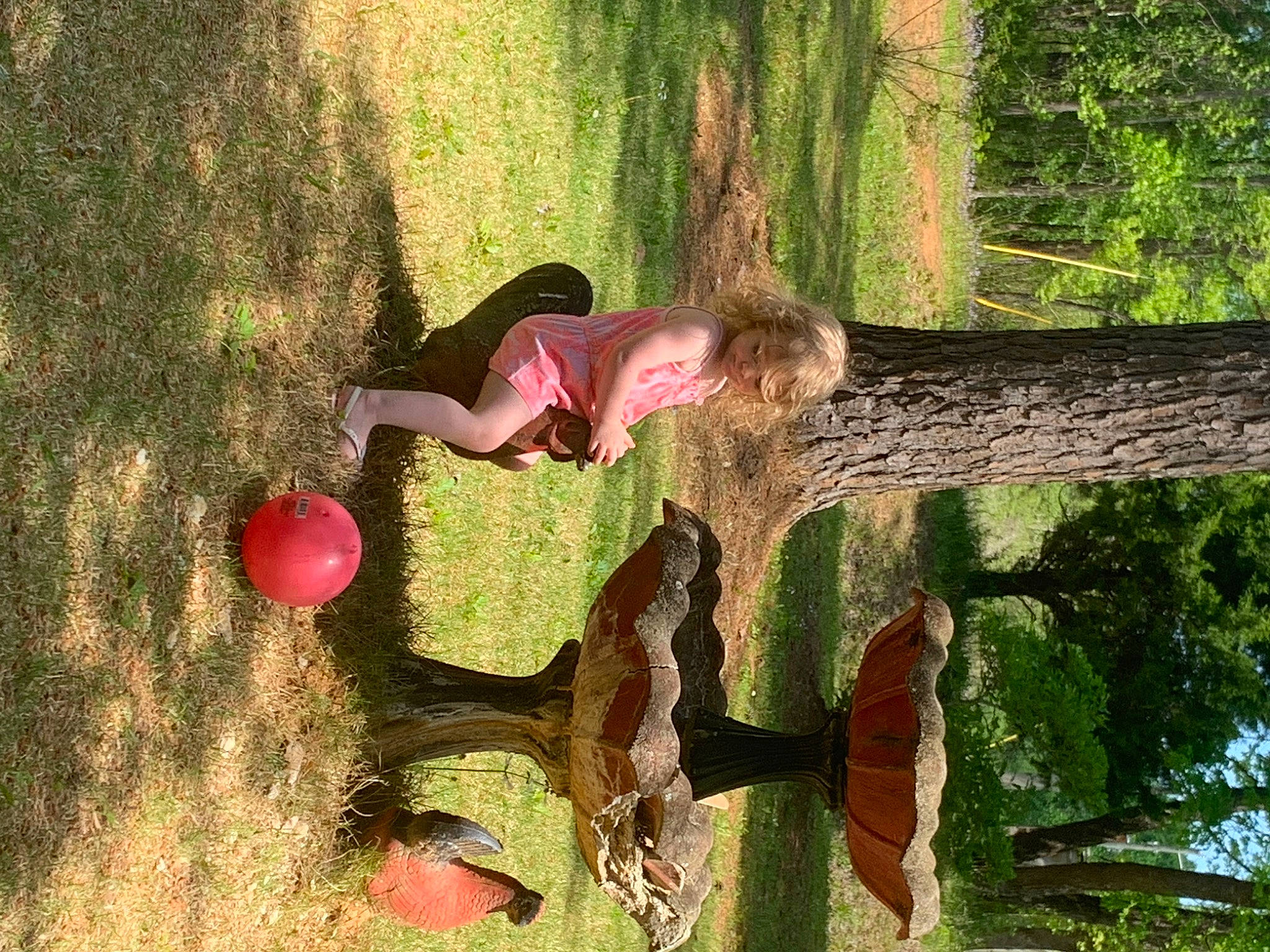 Mara joined the competition — help win amazing prizes! ball, balloon, botany, branch, fun, grass, green, happy, human_body, landscape, leisure, nature, people_in_nature, person, plant, recreation, tints_and_shades, tree, trunk, wood