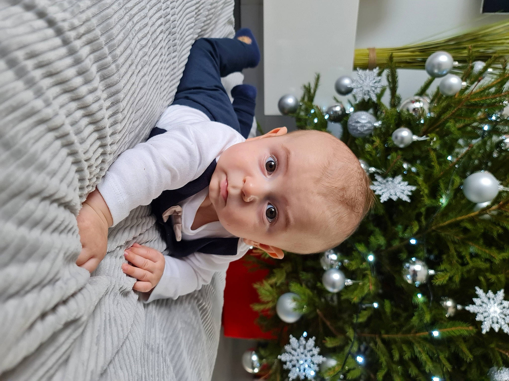 Milan a rejoint le concours — aidez-le/la à gagner de superbes lots ! baby, child, christmas, christmas_decoration, christmas_ornament, christmas_tree, conifer, event, evergreen, grass, happy, holiday, holiday_ornament, ornament, person, plant, toddler, tradition, tree, window