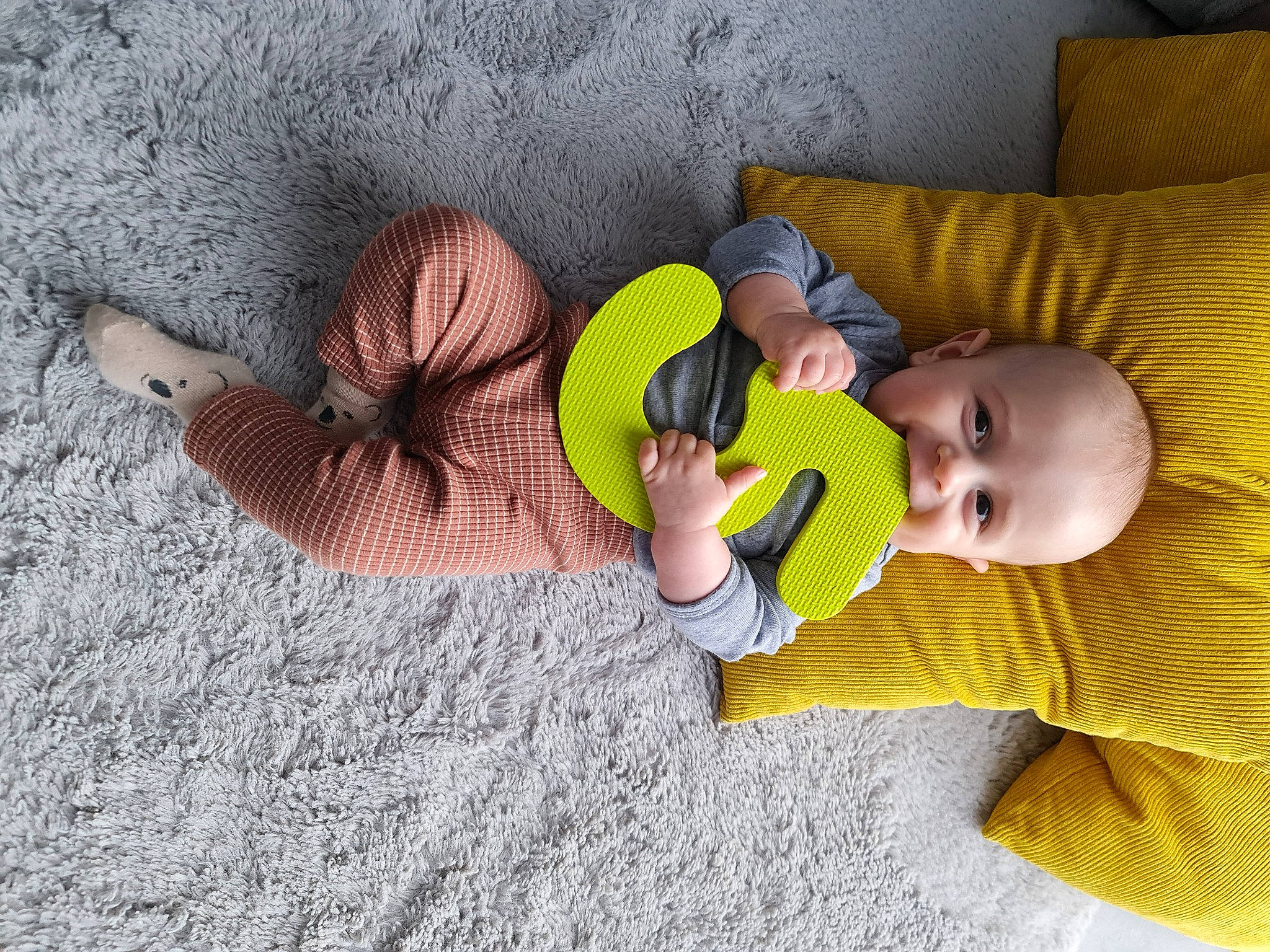 Milan participe au concours pour gagner de l'argent avec cette photo : baby, baby_toddler_clothing, child, comfort, couch, finger, flooring, fun, grass, happy, headgear, linens, pattern, person, sitting, skin, textile, toddler, tree, vertebrate