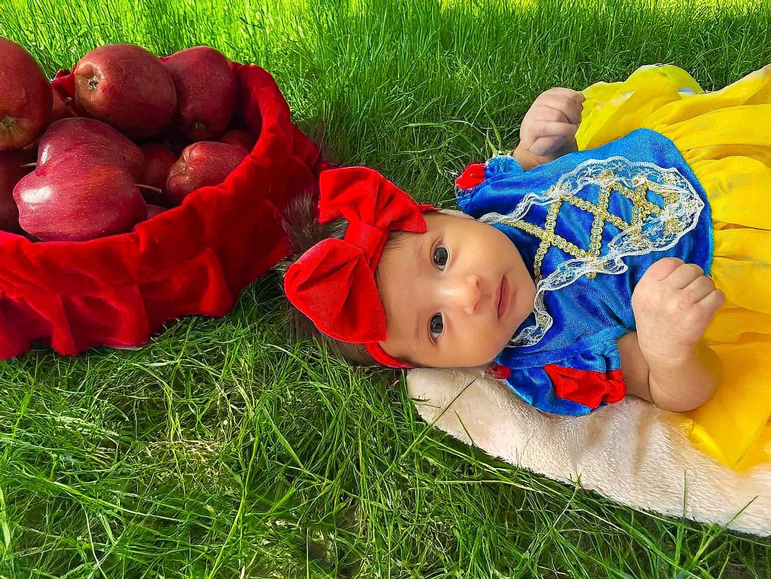 Sia is registered to the contest to win money with this photo: baby, child, grass, apples, basket, red_bow, headband, yellow_skirt, blue_top, costume, outdoor, nature, portrait, infant, cute, soft_blanket, greenery, colorful, young_child, lying_down