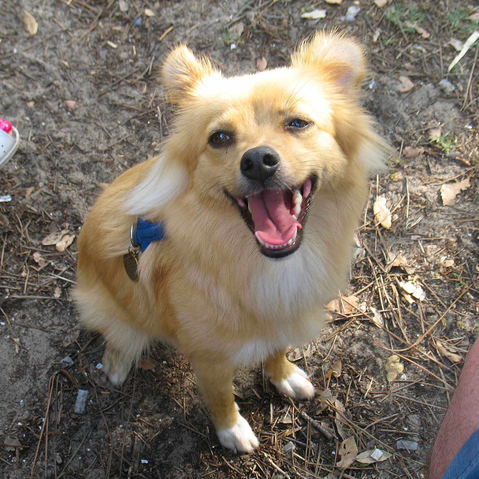 Winnie