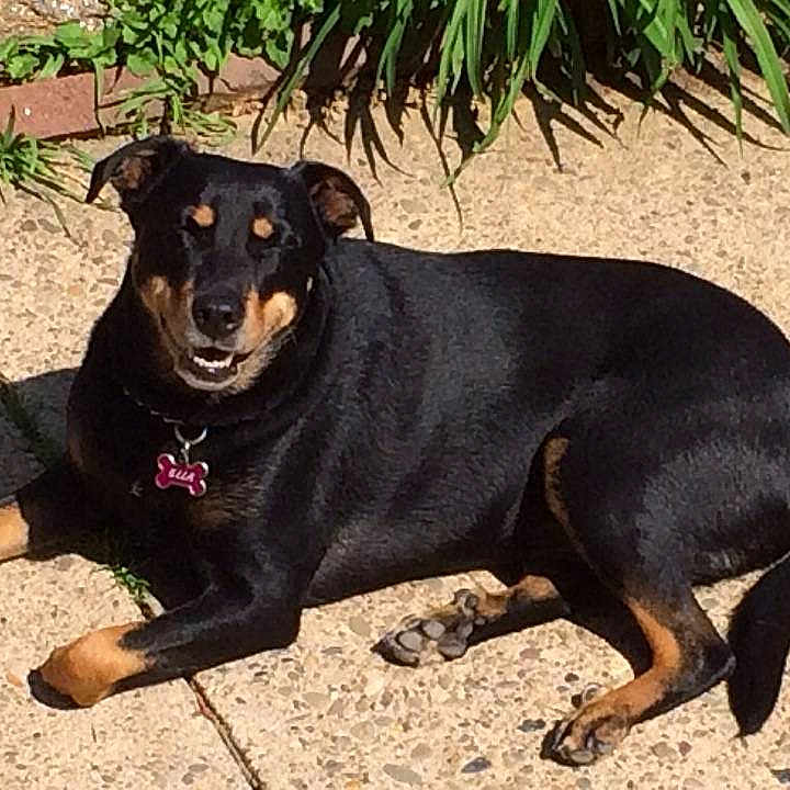 Ella joined the competition — help win amazing prizes!