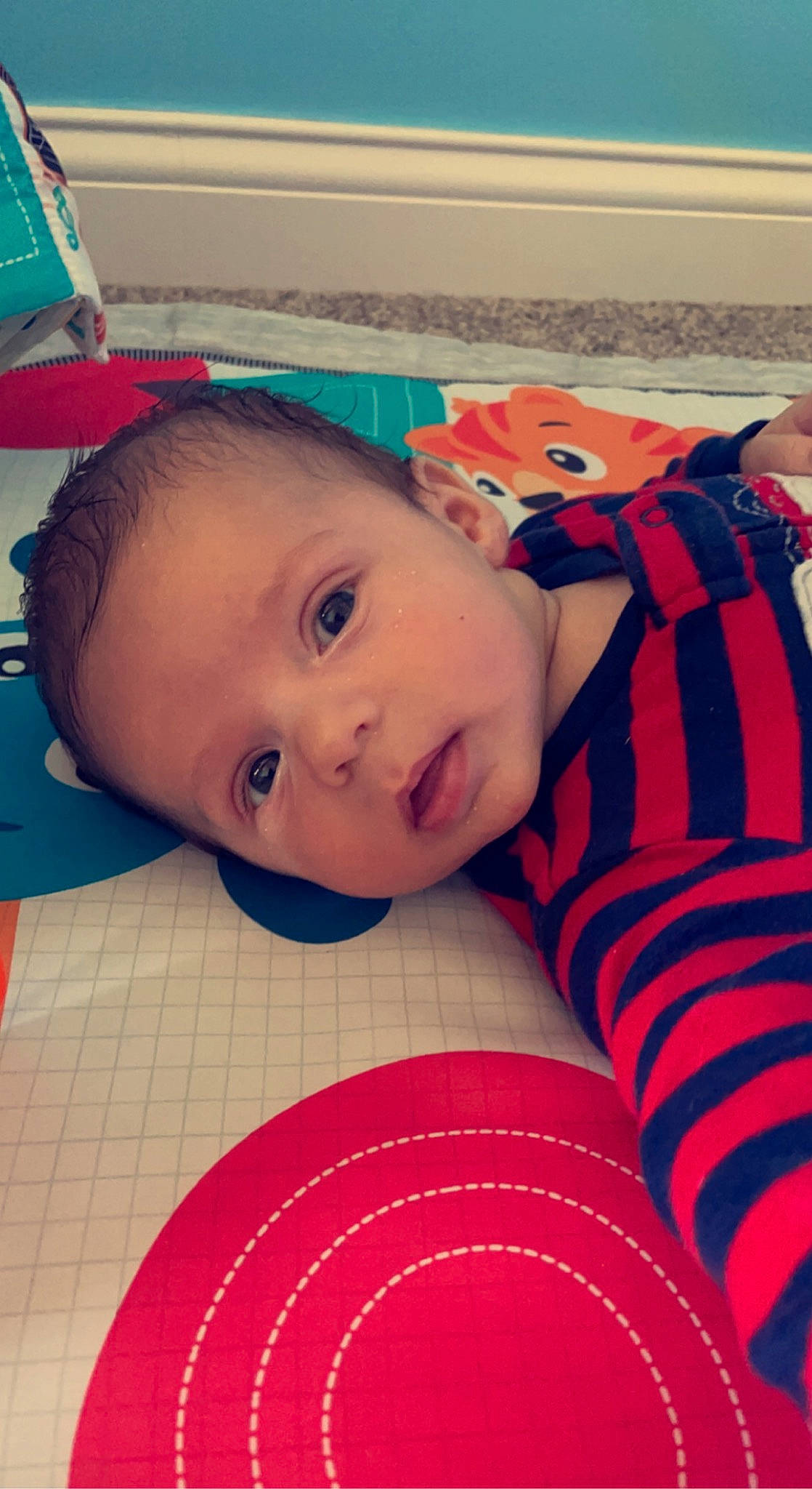 Vinny is registered to the contest to win money with this photo: baby, baby_toddler_clothing, cheek, cool, eye, eyebrow, eyelash, face, facial_expression, flooring, happy, head, iris, lip, mouth, nose, person, skin, sleeve, smile