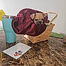 Pugsley joined the competition — help win amazing prizes! basket, blanket, cozy, cute, dog, fur, green, indoor, marble, object, pet, puppy, small, snuggled, sticker, table, tumbler, wall, wicker, yellow