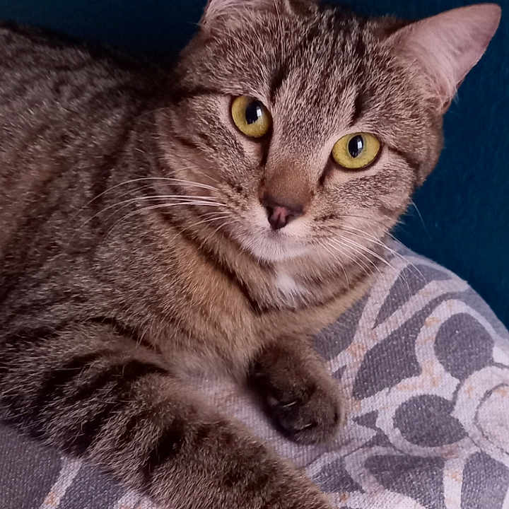 Yuna
