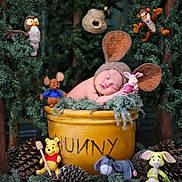 Amira joined the competition — help win amazing prizes! baby, sleeping, mouse_ears, yellow_pot, hunny_label, plush_toys, winnie_the_pooh, piglet, tigger, eeyore, rabbit, pinecones, greenery, forest_theme, wood_background, soft_texture, cute, child, portrait, decor