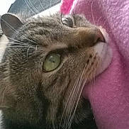 Nutella a rejoint le concours — aidez-le/la à gagner de superbes lots !