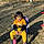 Rupsha