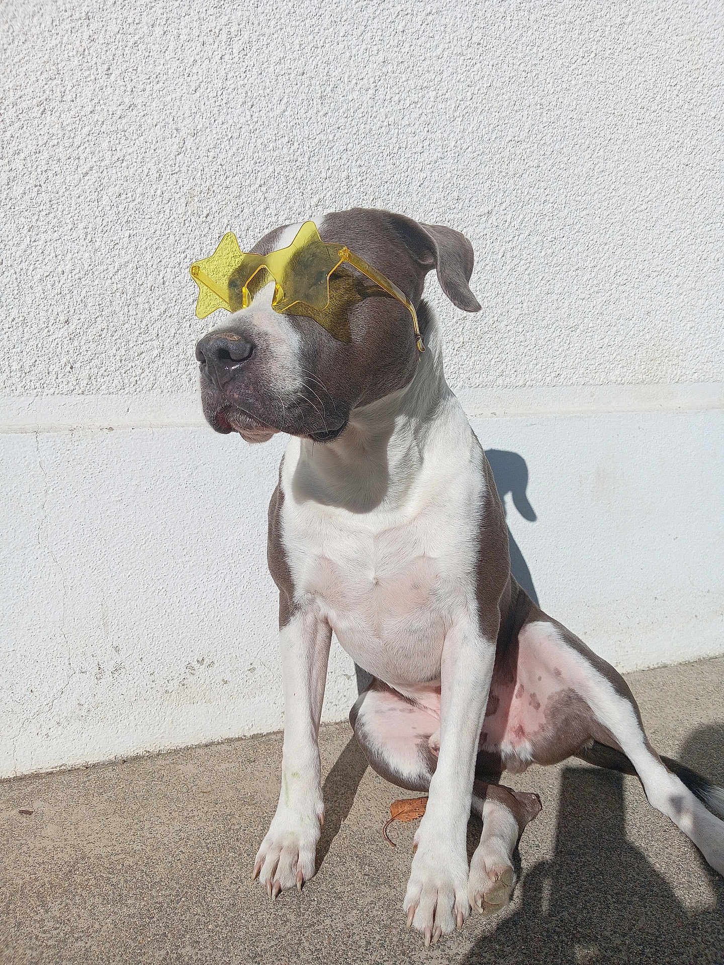 Karl