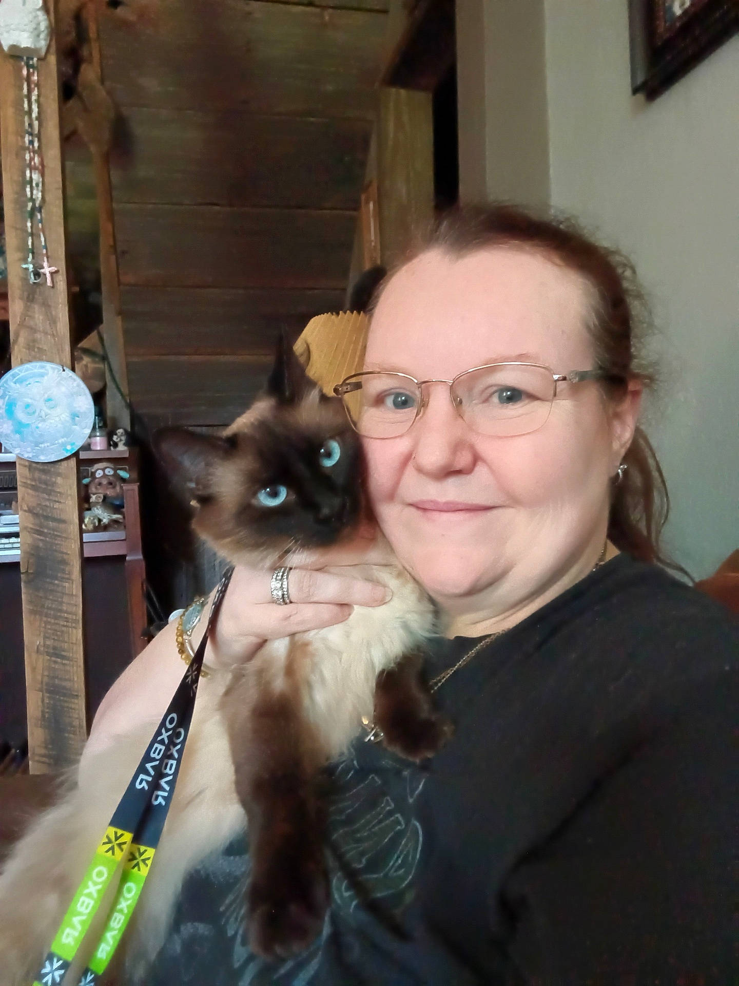 Mia is registered to the contest to win money with this photo: accessories, adult, animal, brush, cat, device, face, female, glasses, head, jewelry, kitten, necklace, person, pet, photography, siamese, strap, tool, woman