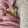 Melo joined the competition — help win amazing prizes! dog, french_bulldog, blanket, pink_blanket, sleeping, cozy, carpet, indoor, pet, resting, cute, snug, fur, ears, animal, relaxation, peaceful, home, bedtime, comfort