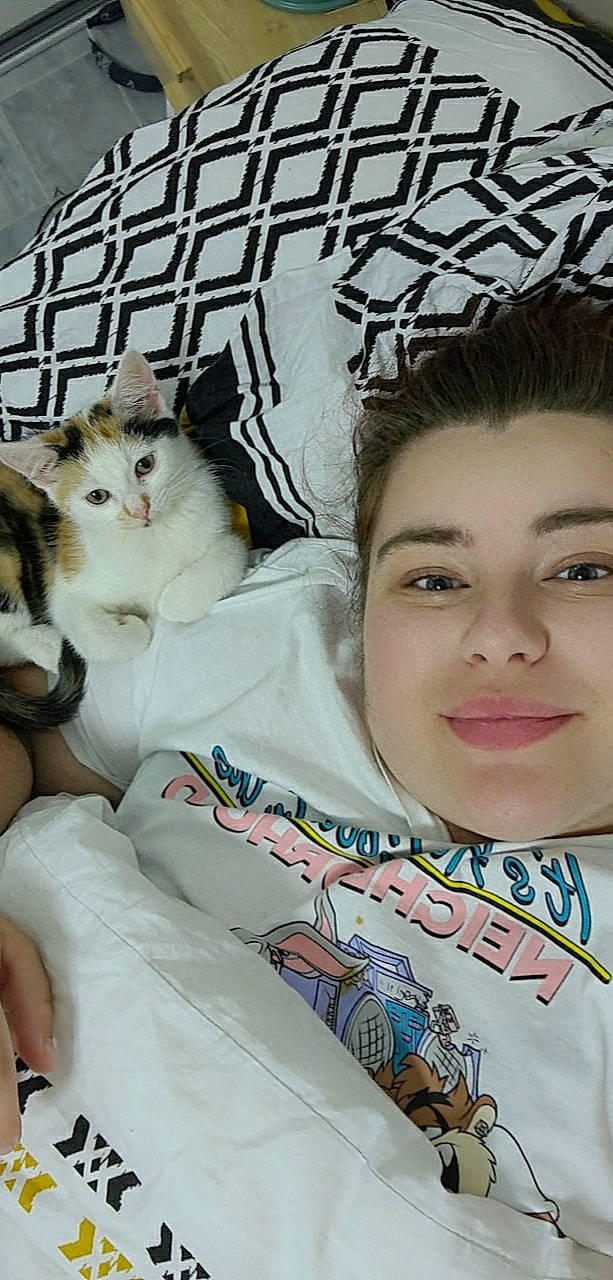 Sia a rejoint le concours — aidez-le/la à gagner de superbes lots ! carnivore, cat, child, comfort, companion_dog, domestic_short_haired_cat, eyelash, fawn, felidae, fur, happy, lap, linens, pattern, paw, portrait_photography, sitting, small_to_medium_sized_cats, smile, whiskers