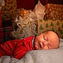 baby, sleeping, red_clothing, blanket, christmas, presents, angel_figurine, holiday, festive, cozy, infant, portrait, indoors, decor, cute, peaceful, soft, warm, smiling, relaxing