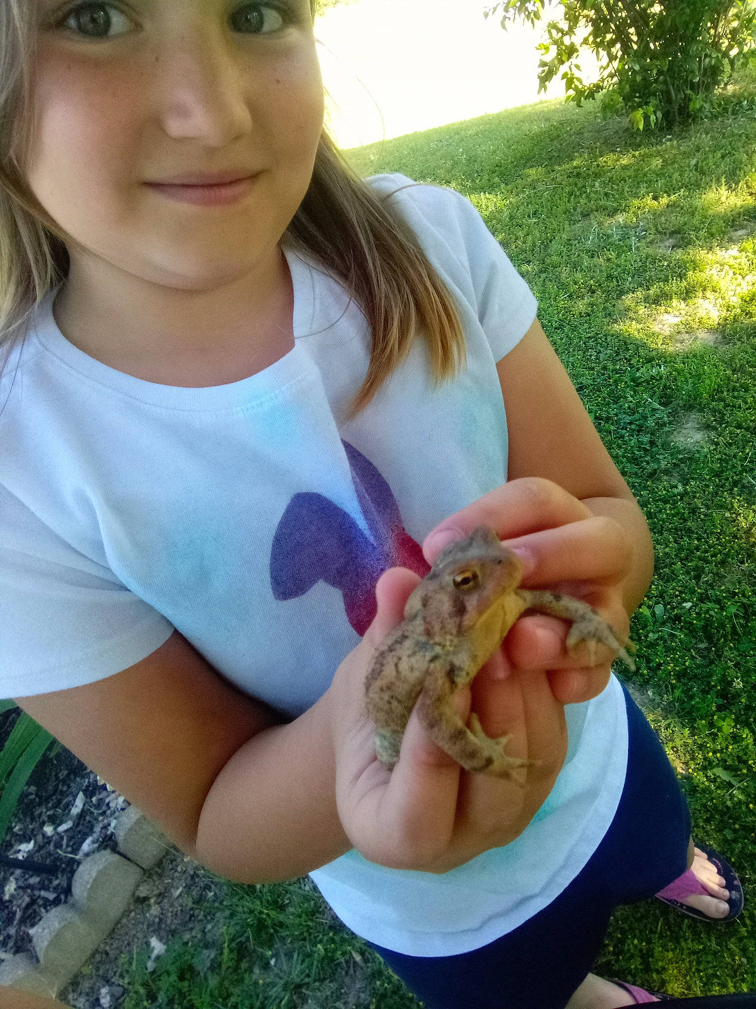 Madison is registered to the contest to win money with this photo: bangs, brown_hair, child, eyelash, finger, frog, grass, hand, happy, insect, joy, nail, people_in_nature, person, plant, reptile, soil, summer, terrestrial_animal, thumb