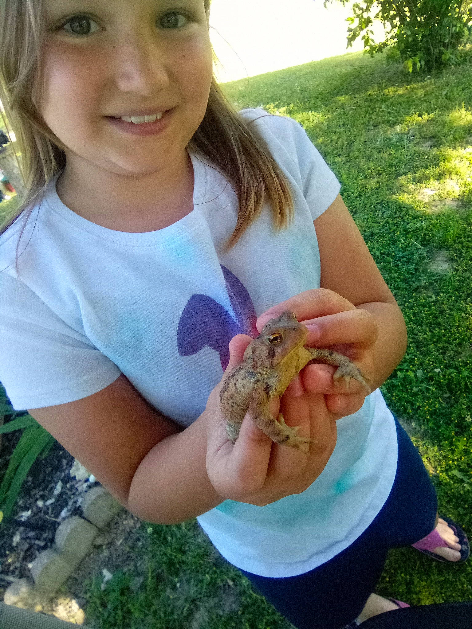 Madison joined the competition — help win amazing prizes! amphibian, brown_hair, finger, frog, grass, happy, insect, joy, people_in_nature, person, plant, reptile, scaled_reptile, smile, soil, summer, terrestrial_animal, thumb, toad, toddler