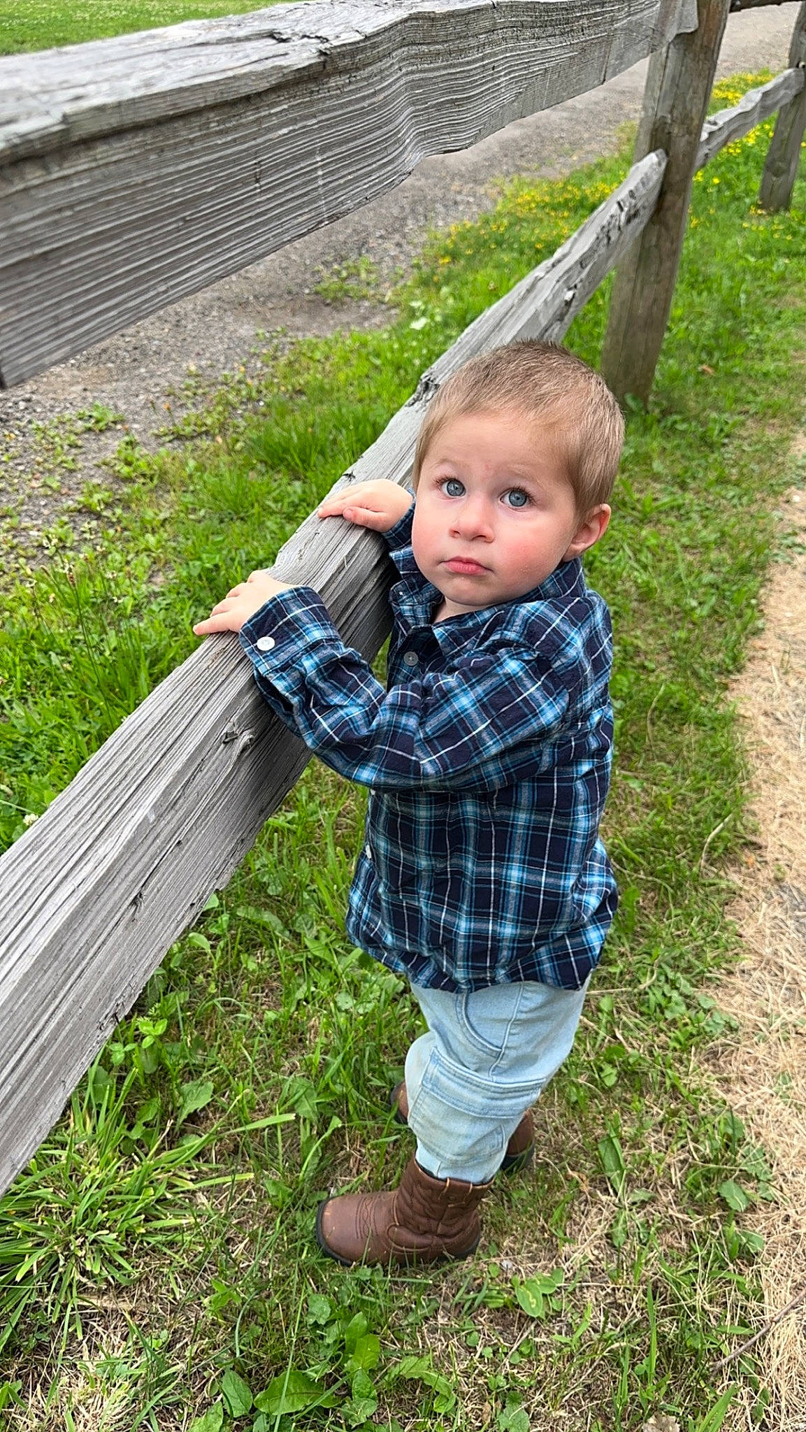 Hunter is registered to the contest to win money with this photo: baby_toddler_clothing, child, fence, fun, garden, grass, grass_family, happy, lawn, leisure, pattern, people_in_nature, person, plaid, plant, soil, spring, tartan, toddler, tree