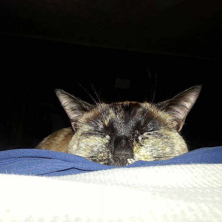 Blossom is registered to the contest to win money with this photo: