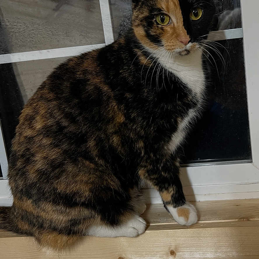 Milo