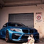 Leïka participe au concours pour gagner de l'argent avec cette photo : animal, blue_car, building, car, dog, garage, grill, headlight, husky, metal, outdoor, parking, pavement, pet, sign, sports_car, tongue_out, urban, vehicle, wheel