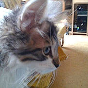 Haïdo participe au concours pour gagner de l'argent avec cette photo :